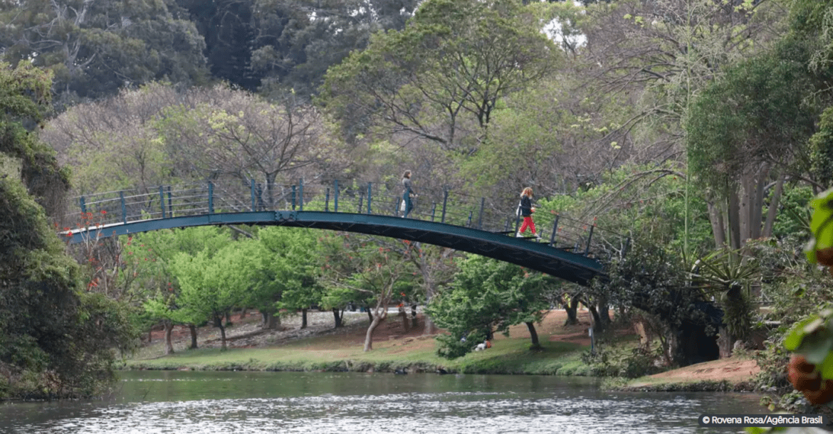 Descubra a Essência de São Paulo no Parque Ibirapuera: Uma Jornada Turística Inesquecível