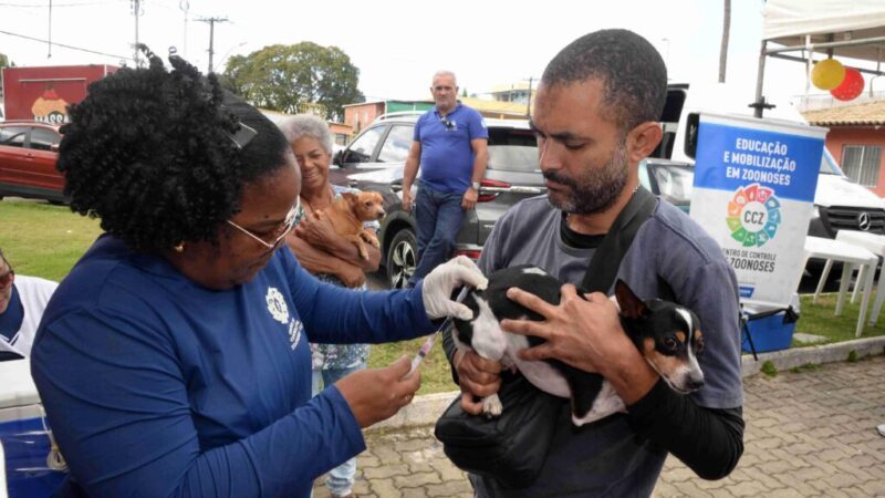 Campanha de Vacinação Antirrábica segue nesta semana em Salvador
